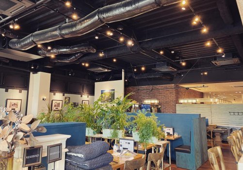 有观叶植物的治愈空间