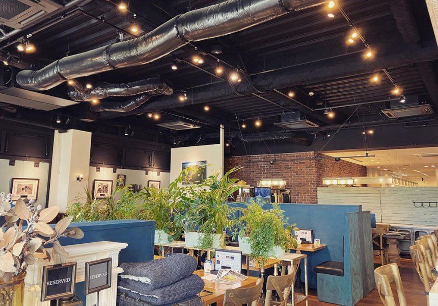 有观叶植物的治愈空间