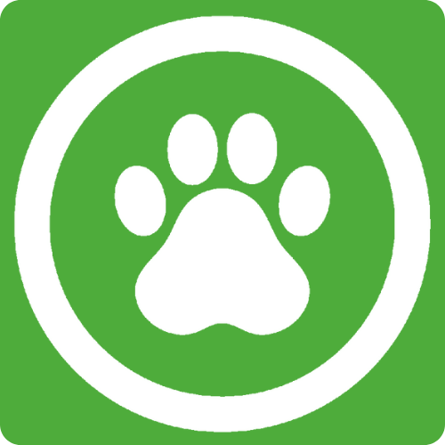 可携带宠物（仅限露台座位）